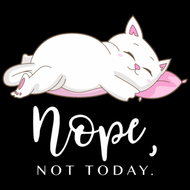 Motiv Katze Kissen schlafen Nein nicht heute Geschenk