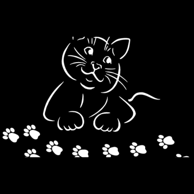 Motiv Katze Katze Katze Katze Katze Katze Pfoten Blick