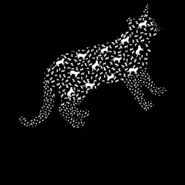 Motiv Katze aus Katzen