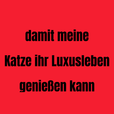 Motiv katze - Luxusleben einer Katze