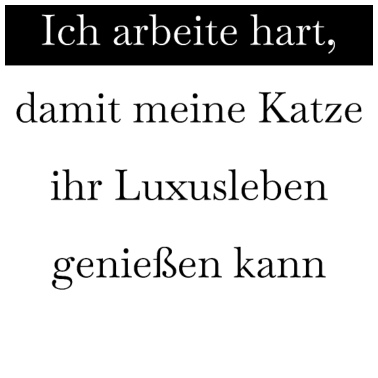 Motiv katze - Luxusleben einer Katze