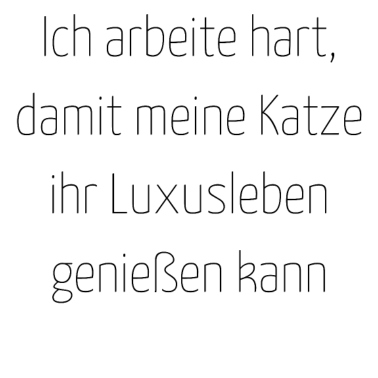 Motiv katze - Luxusleben einer Katze