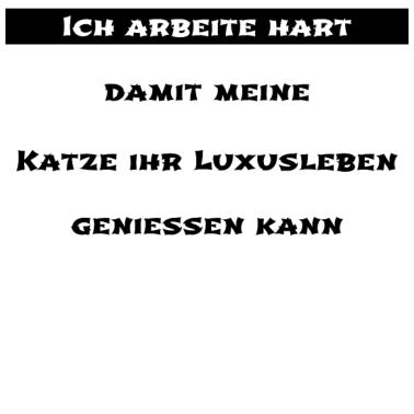 Motiv katze - Luxusleben einer Katze