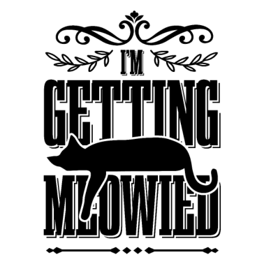 Motiv katze miau katzen