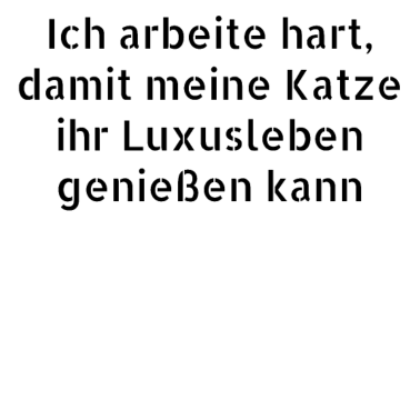 Motiv katze - Luxusleben einer Katze