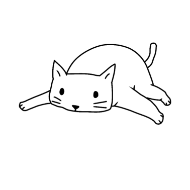 Motiv Katze Katzen Kitten