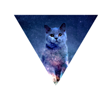 Motiv KATZE KATZE KATZE HAUSTIER