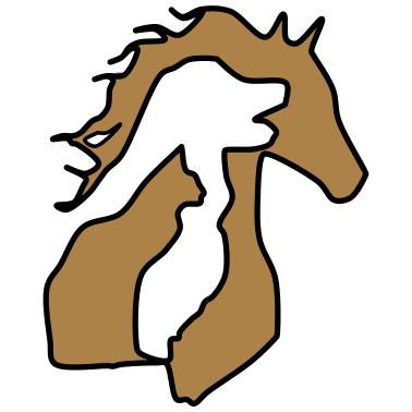 Motiv 09. Tiermotive: pferd, hund, katze ✔