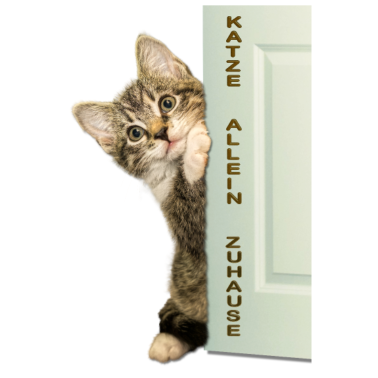 Motiv Katze allein Zuhause