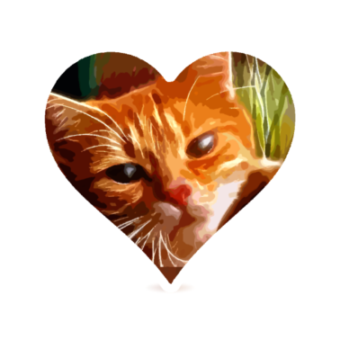 Motiv Katzenherz Katze Tier Haustier Liebe Geschenk