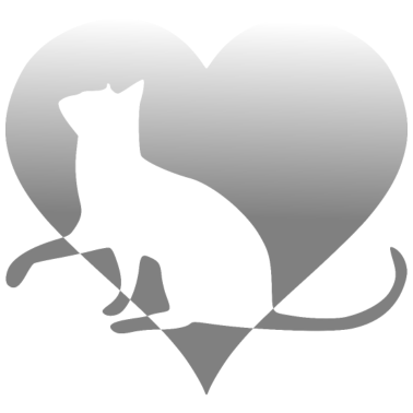 Motiv Katze Katze Katze Katze Katze Katze Mieze