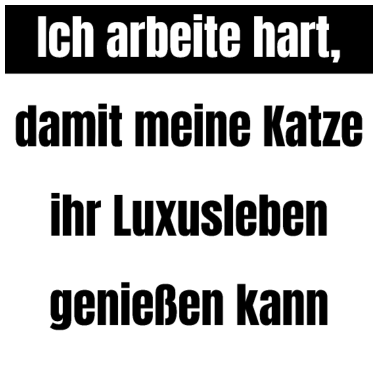 Motiv katze - Luxusleben einer Katze