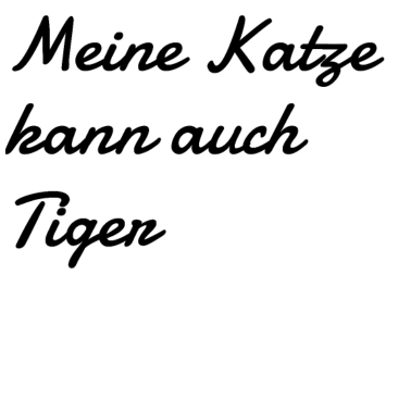 Motiv katze - meine Katze kann auch Tiger