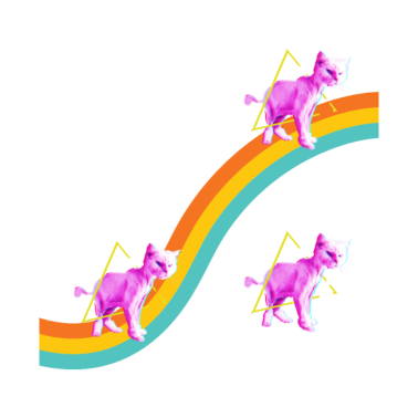 Motiv Katzen Regenbogen Katze