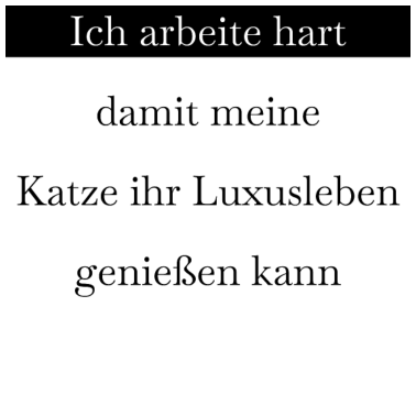Motiv katze - Luxusleben einer Katze