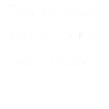 Motiv katze - Katze wollte kuscheln