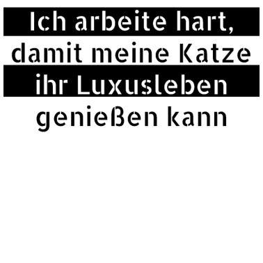 Motiv katze - Luxusleben einer Katze