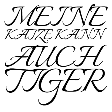 Motiv katze - meine Katze kann auch Tiger