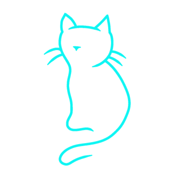 Motiv Katze Kätzchen Katzen