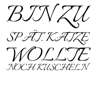 Motiv katze - Katze wollte kuscheln