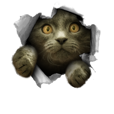 Motiv Kätzchen Riss süße Katze