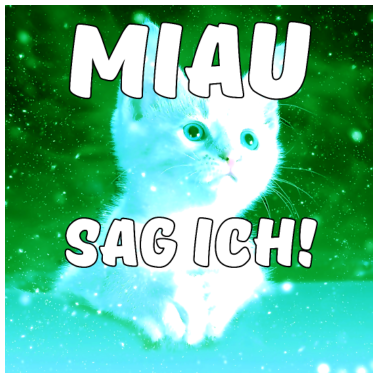 Motiv Miau Katze Tiere Haustiere Spruch