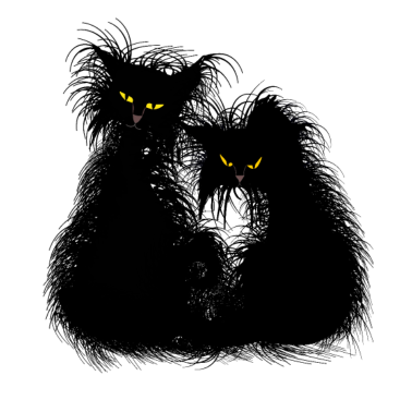 Motiv Katzen Katze Kitten Kater schwarz zottelig wild