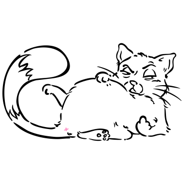 Motiv Katze Nö Nein Nope Mittelfinger personalisierbar