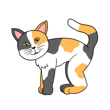 Motiv Kleine süße Katze