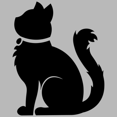 Motiv Flauschige Katze / fluffy cat