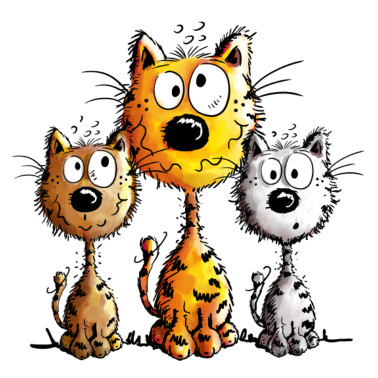 Motiv Katzen Freundschaft