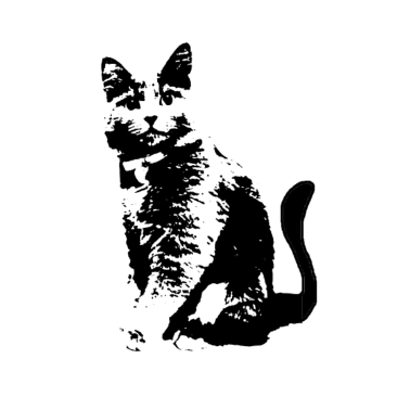 Motiv Süße Katze sitzt