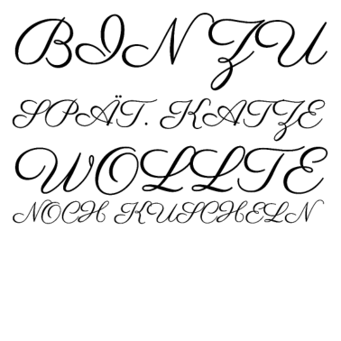 Motiv katze - Katze wollte kuscheln