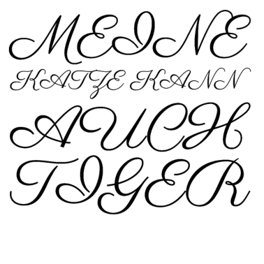 Motiv katze - meine Katze kann auch Tiger