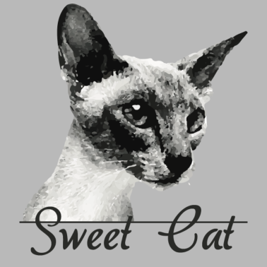 Motiv Süße Katze Katze