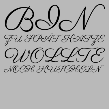 Motiv katze - Katze wollte kuscheln