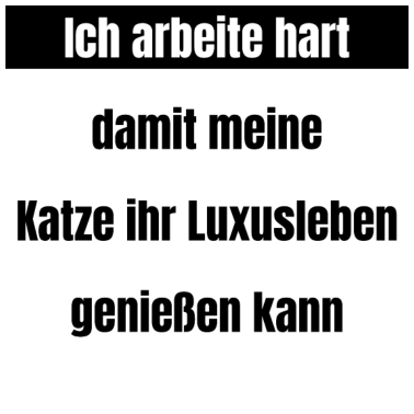 Motiv katze - Luxusleben einer Katze