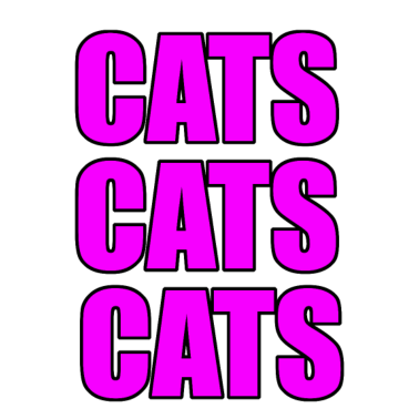 Motiv Katze Katze Katze