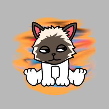 Motiv Katze Katzen Tiere