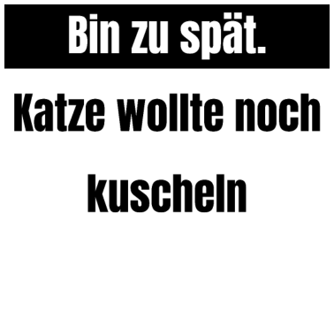 Motiv katze - Katze wollte kuscheln