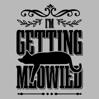 Motiv katze miau katzen