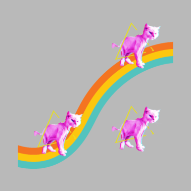 Motiv Katzen Regenbogen Katze