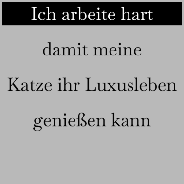 Motiv katze - Luxusleben einer Katze