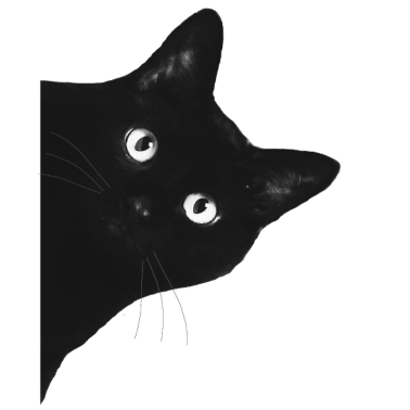 Motiv Katze