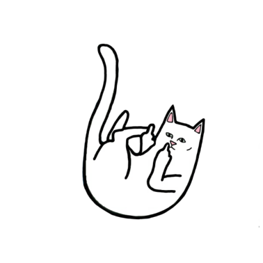 Motiv fuck you cat Katze Geschenkidee Geschenk