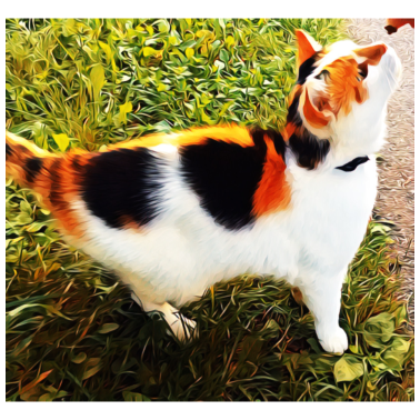 Motiv Katze
