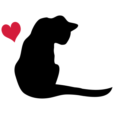 Motiv Katze