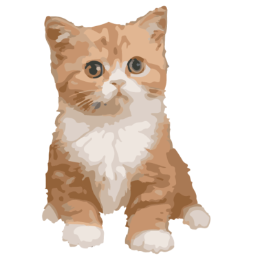Motiv Katze - Katze