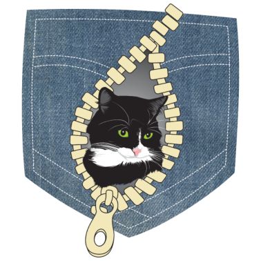 Motiv Katze Katzen