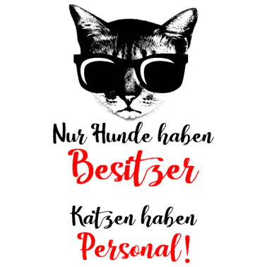 Motiv Katze, Katzen